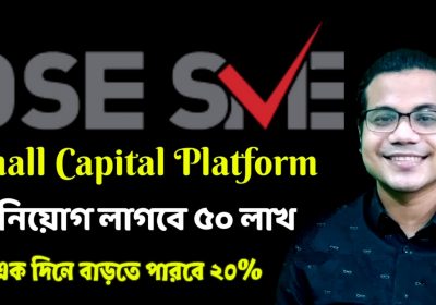 DSE SME Platform